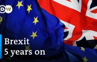 Brexit: It’s been five years since the UK voted to leave the EU | DW News